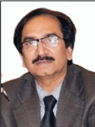 Prof. Dr. Nazar Ali Memon